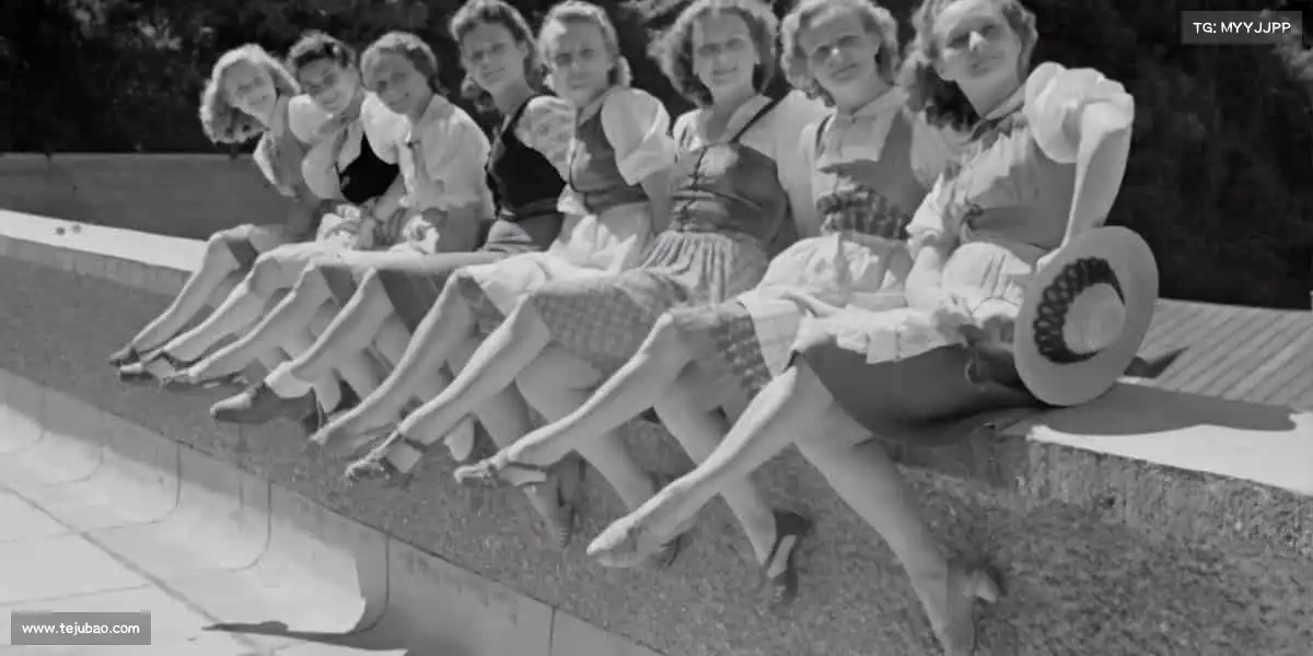 pc28预测——跃动青春,活力全开!